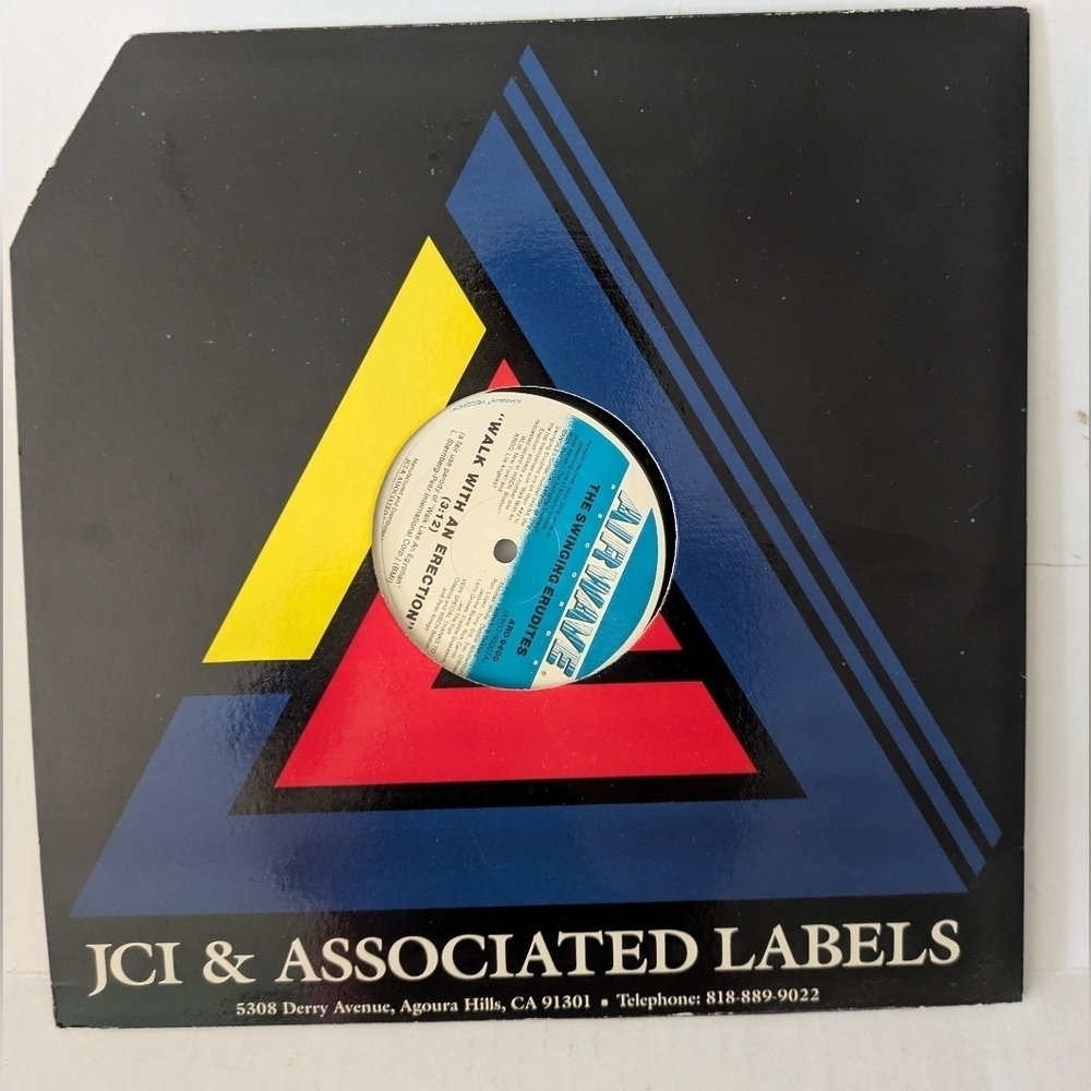 Vinyl Record Walk With An .... - Picture 3 of 3